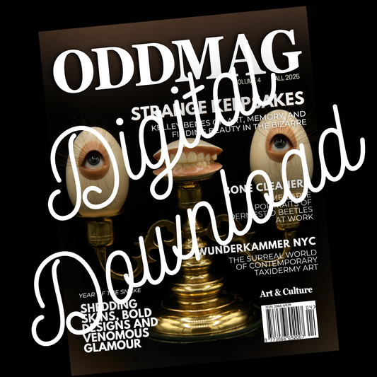 OddMag Volume 4 (Digital Download)