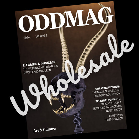 (PRE-ORDER) ODDMAG Volume 1 *2nd printing* (Wholesale)